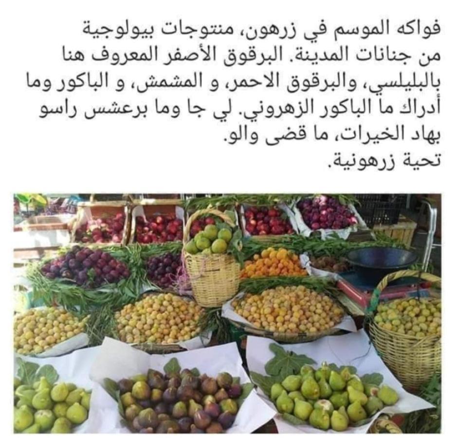 Riad Lala Zakia Moulay Idris Exterior foto